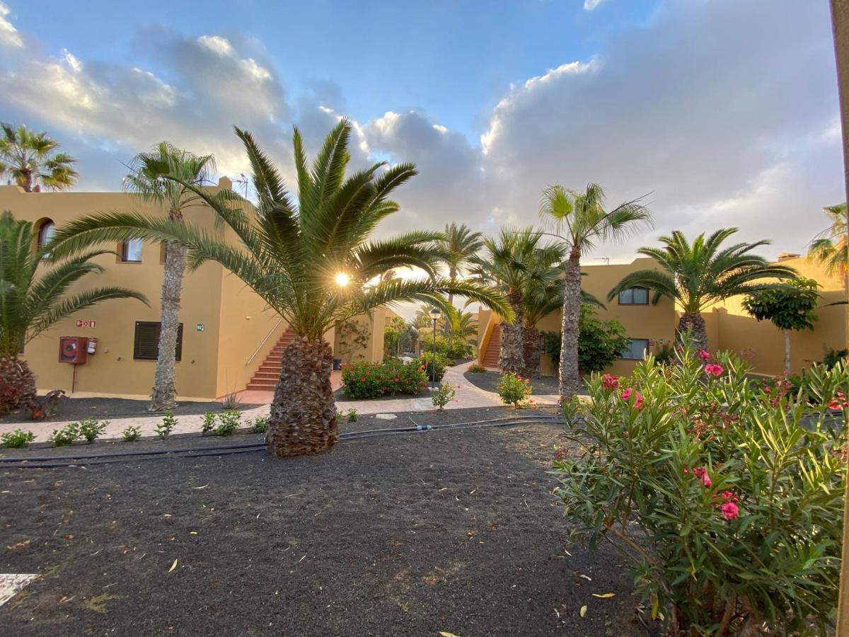 Casa Anna - Oasis Papagayo Lejlighed Corralejo Eksteriør billede